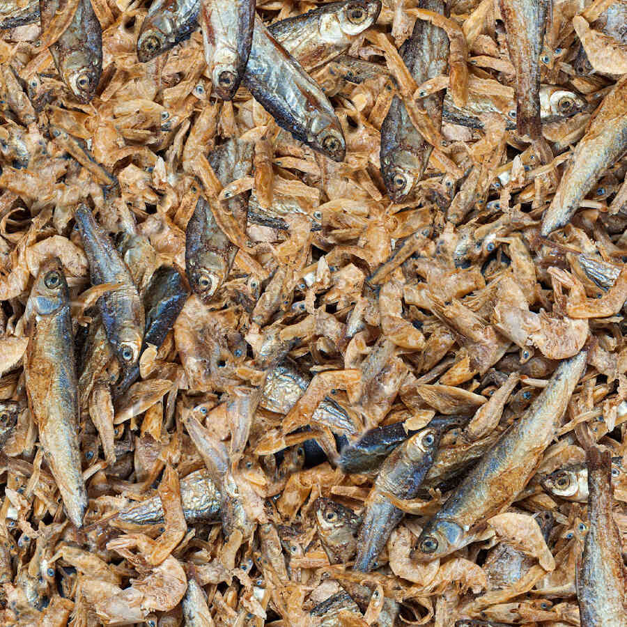 Sera Raffil Royal Nature alimento para r&eacute;pteis, , large Imagem n&uacute;mero 2